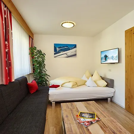 Patrick Appartement *